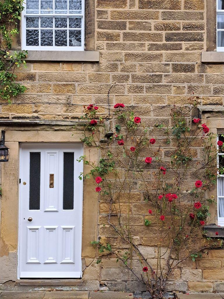 roses