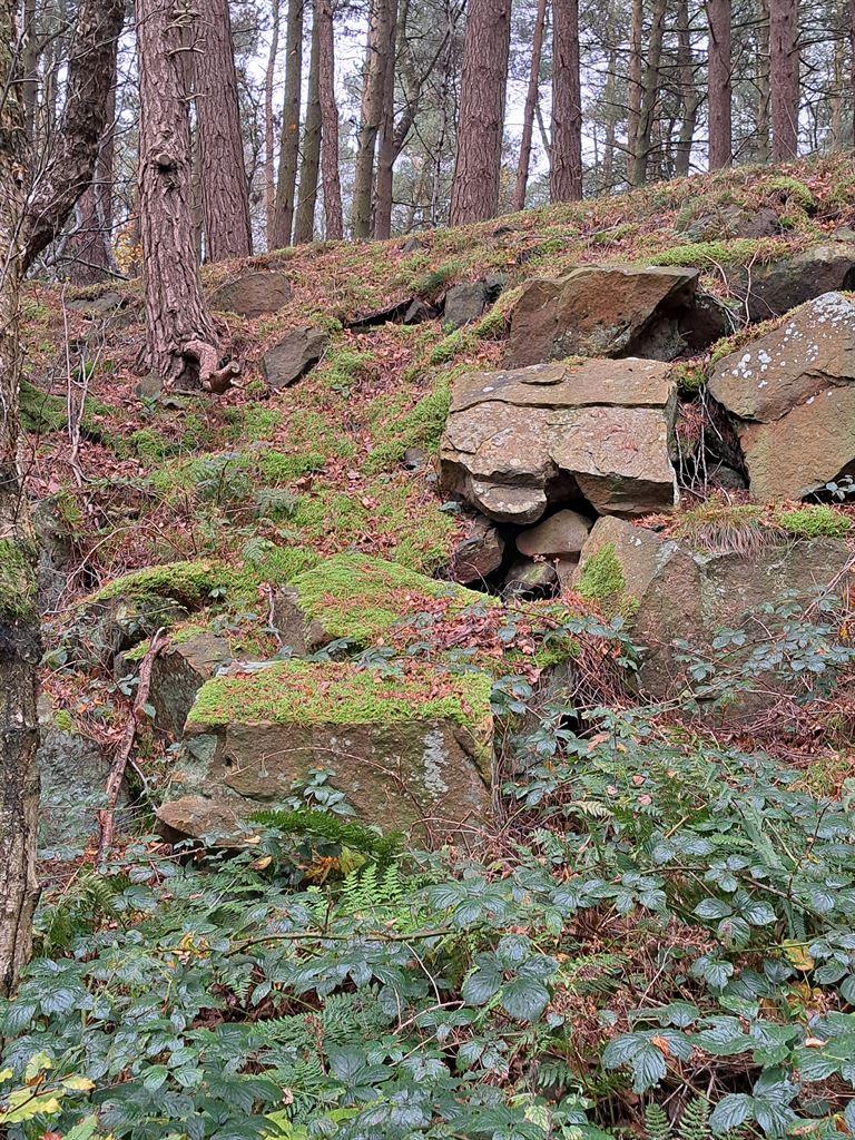 rocks