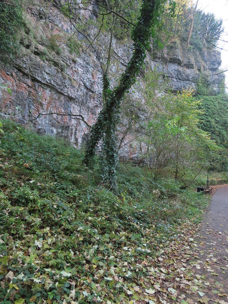 cliff