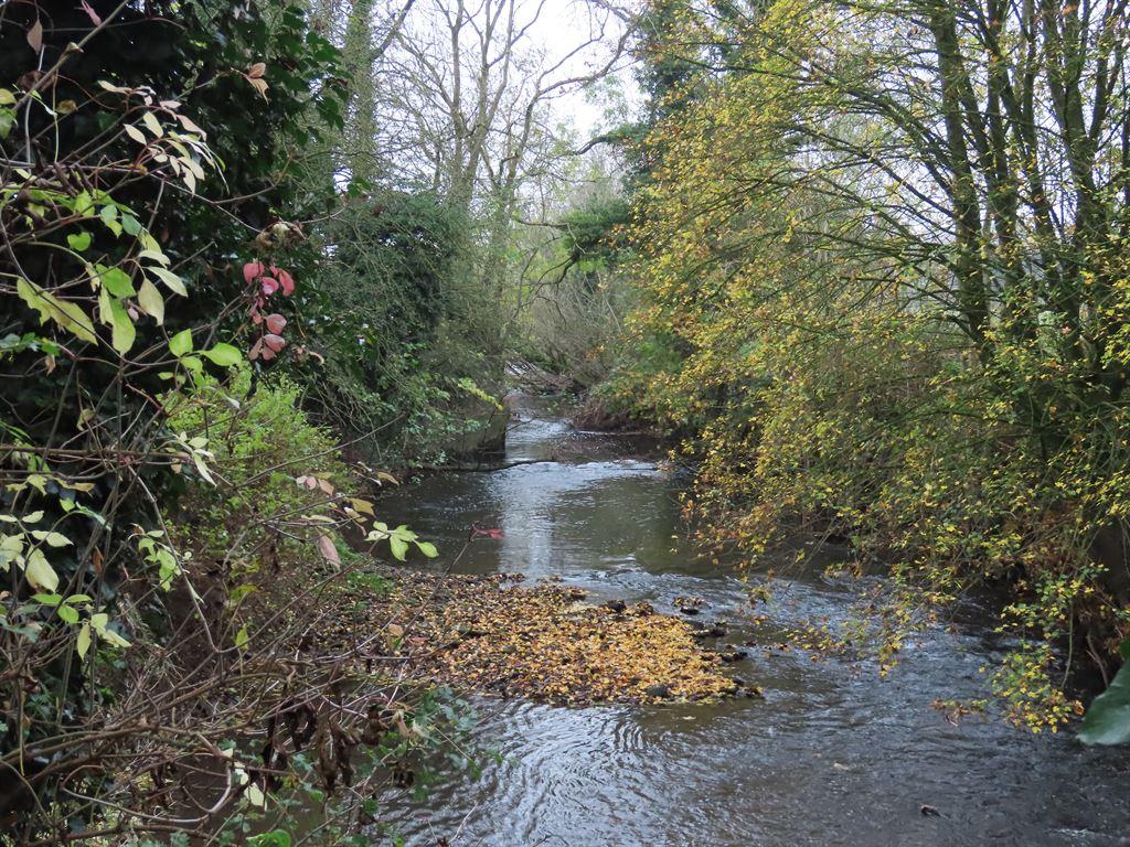 river