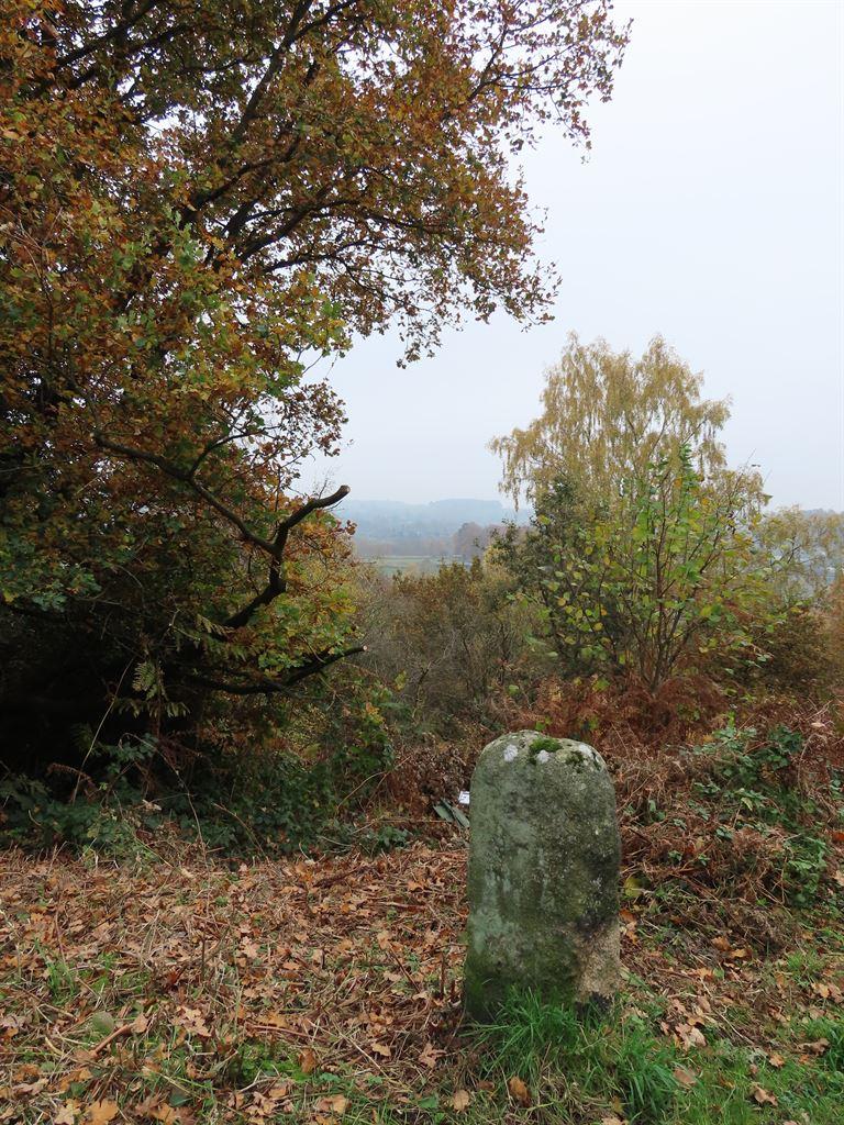 stone