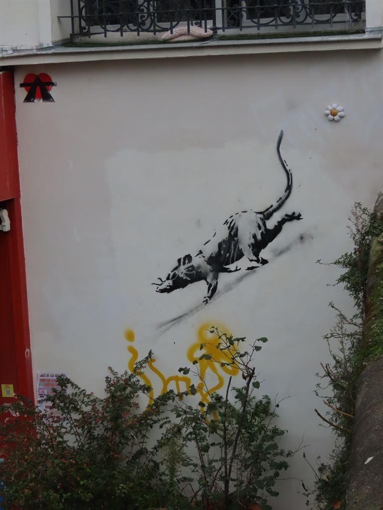 rat2