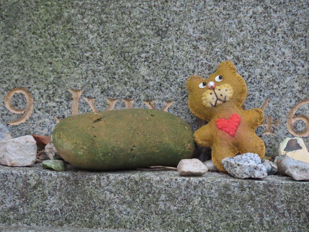 steinbear