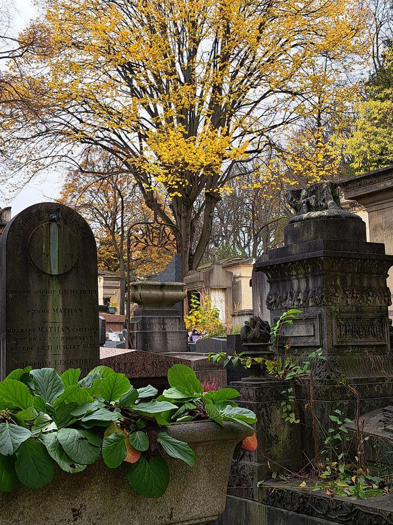 tombs&tree