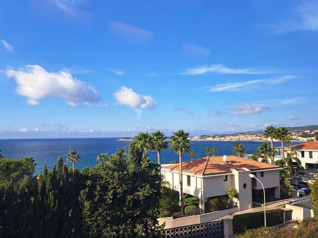 view
