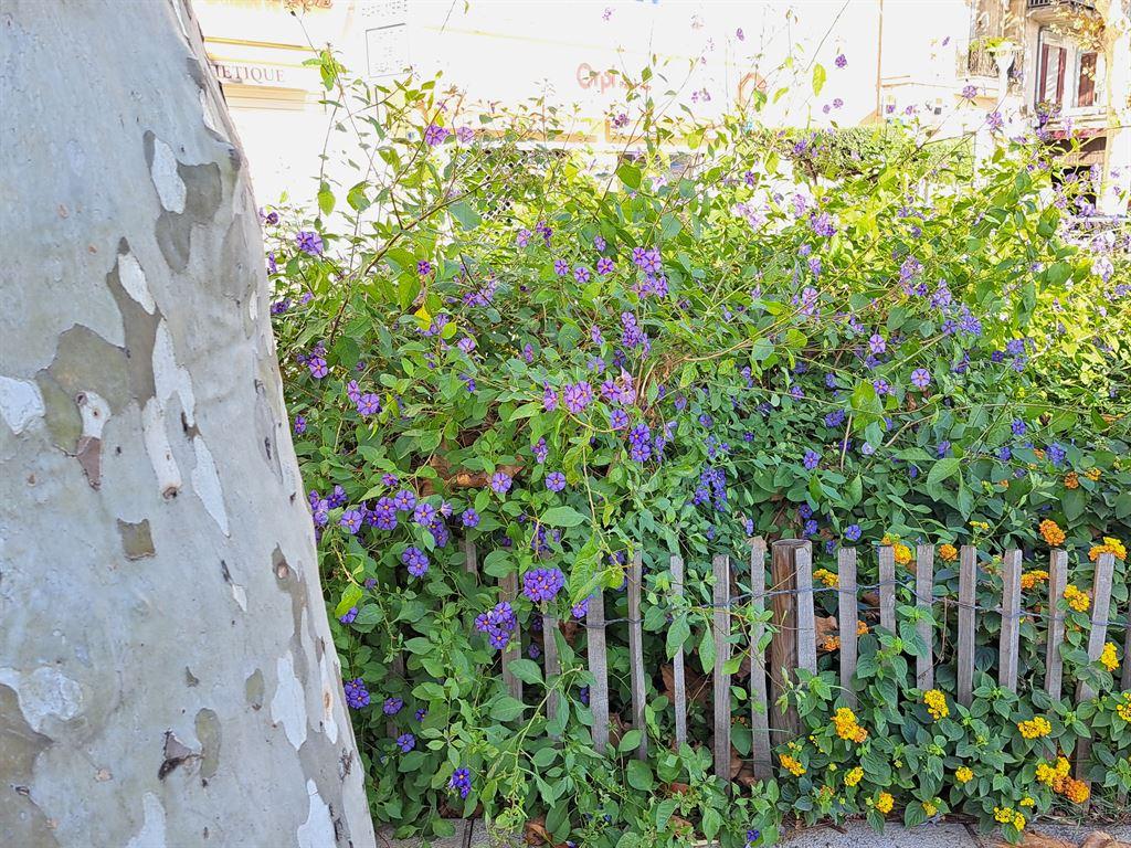 flowers&tree
