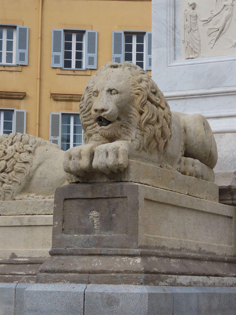 lion