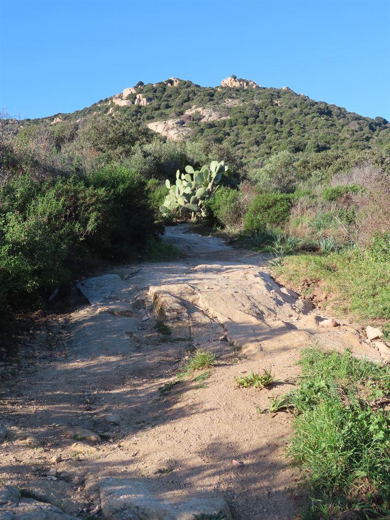 path