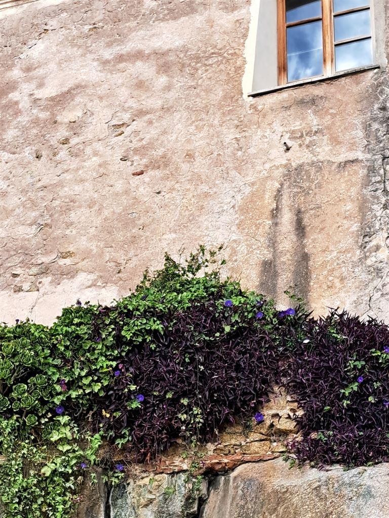 citadelwall