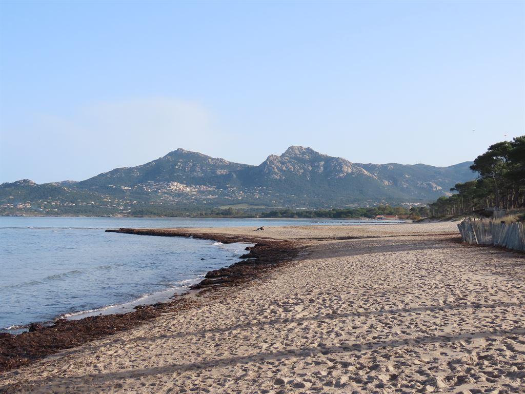 beach1