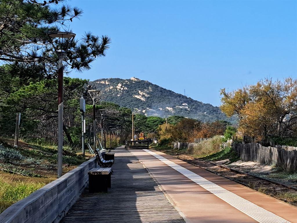 boardwalk2