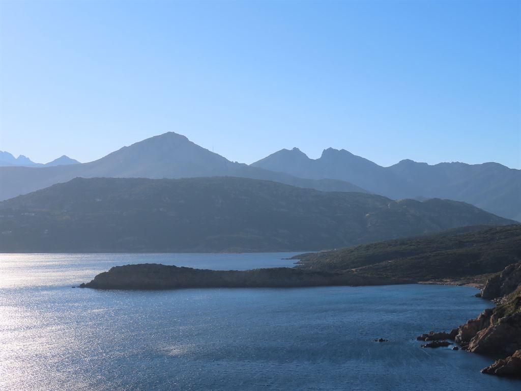 calvi