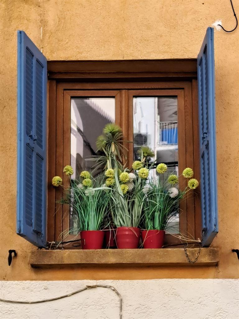 window