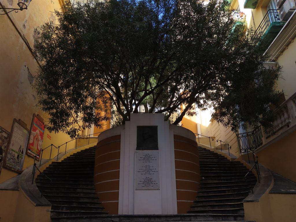paoli