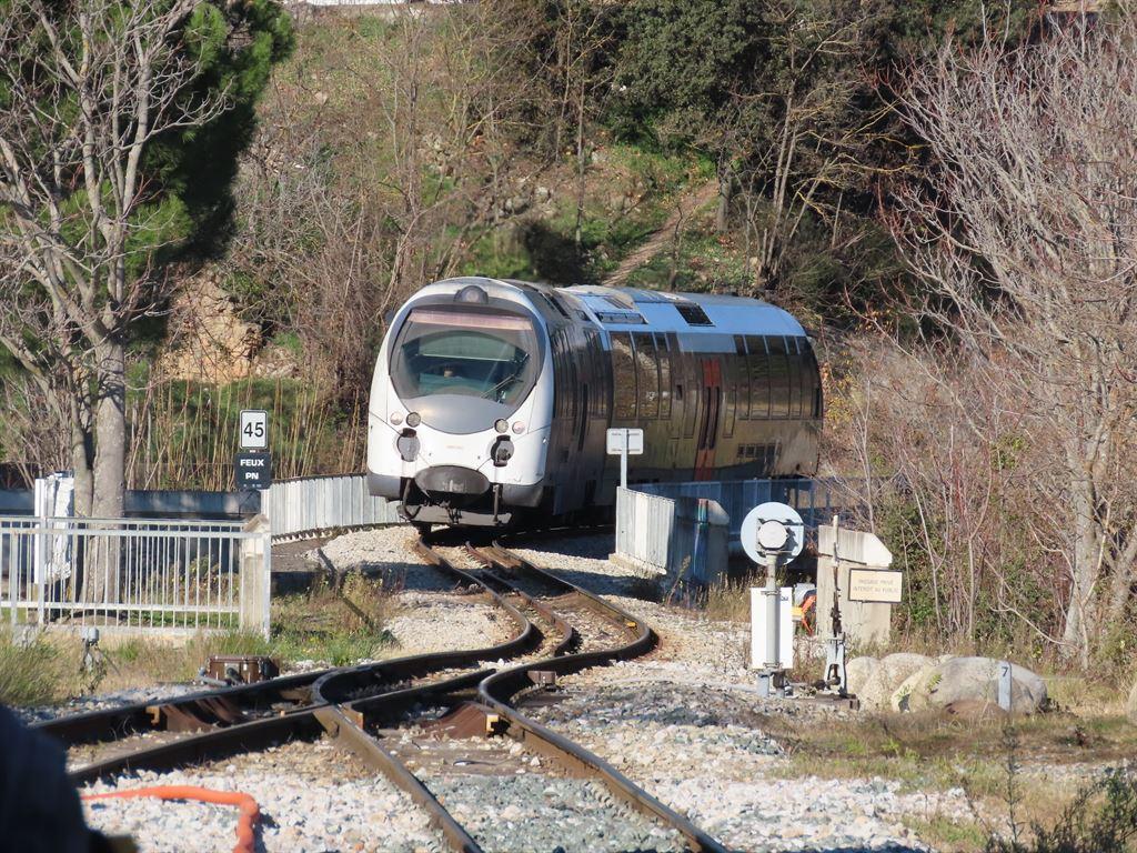train