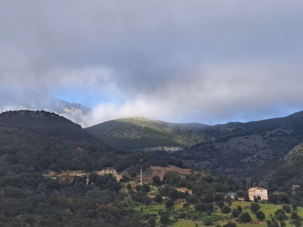hills