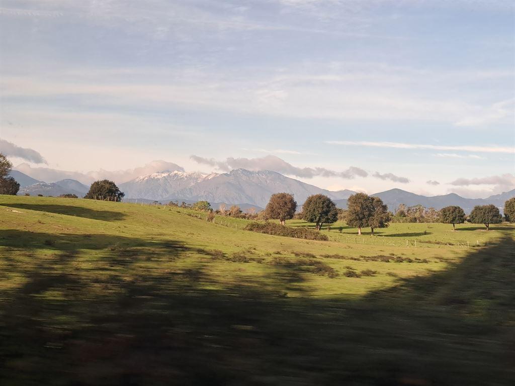 view2