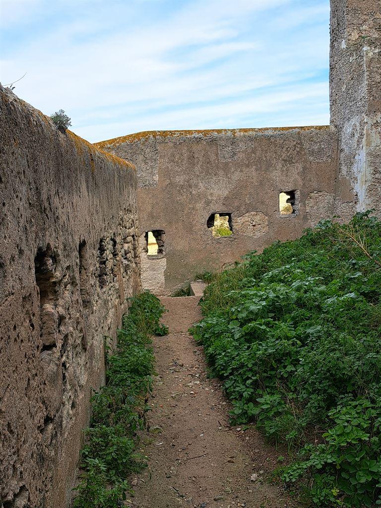 walls1