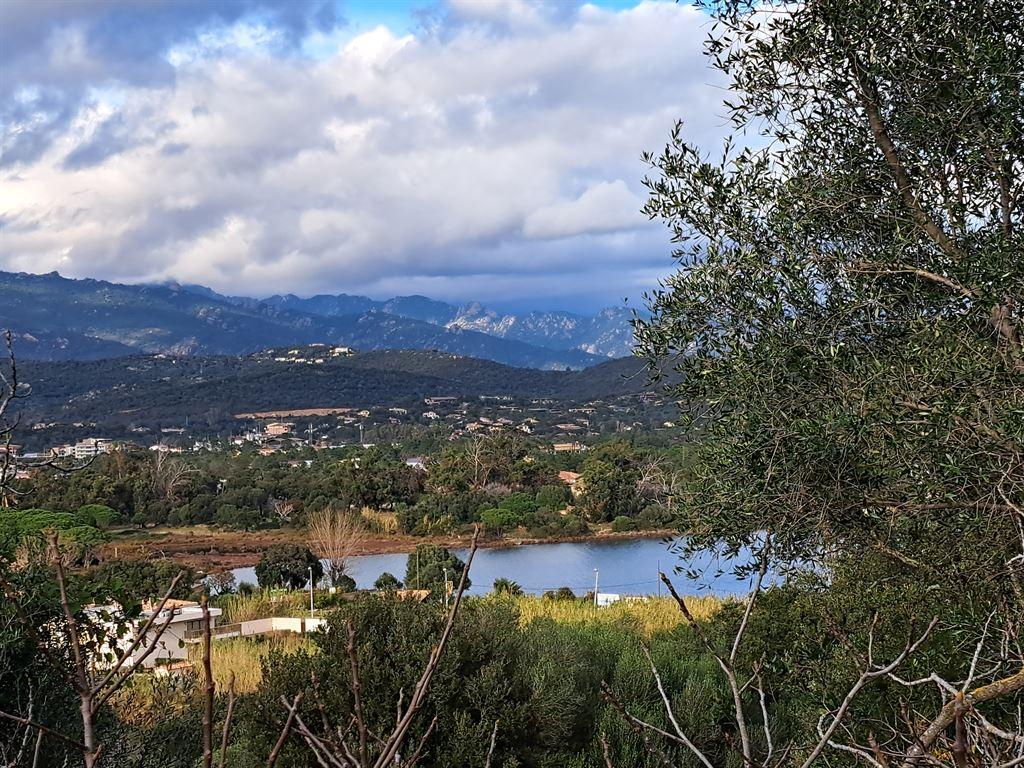 view1