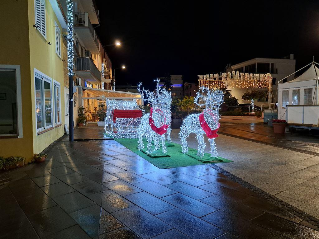 reindeer