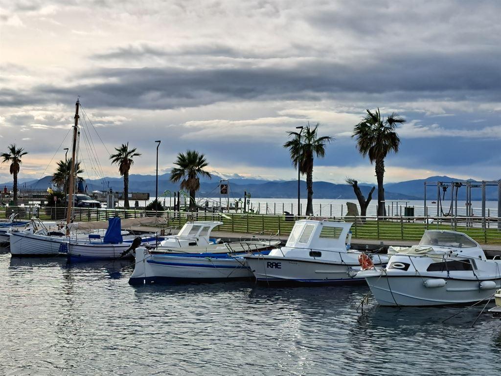 boats&palms