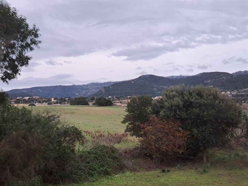 view1