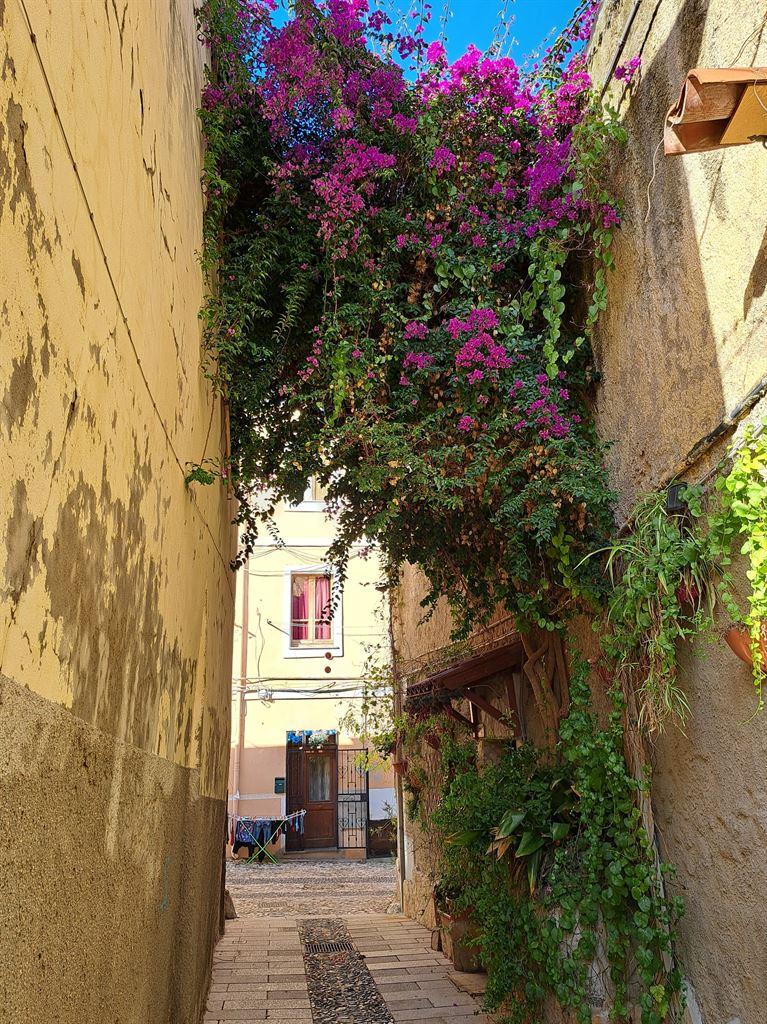 sassari2