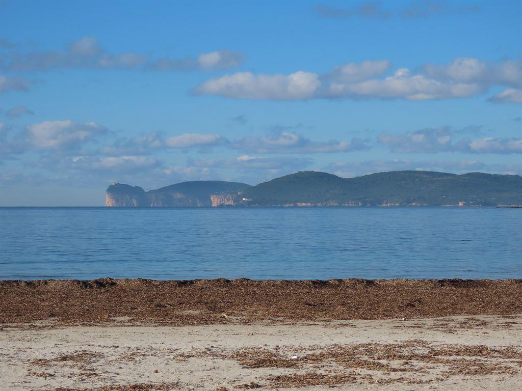 bay