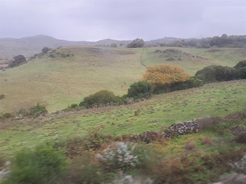 walls