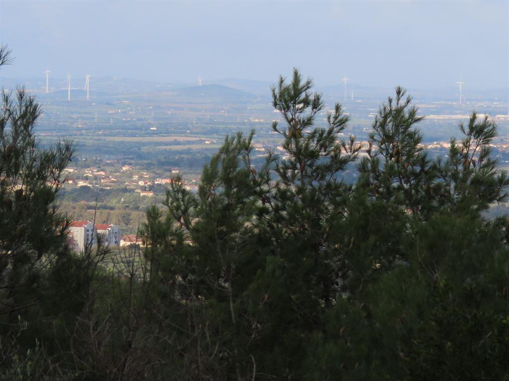 belvedere