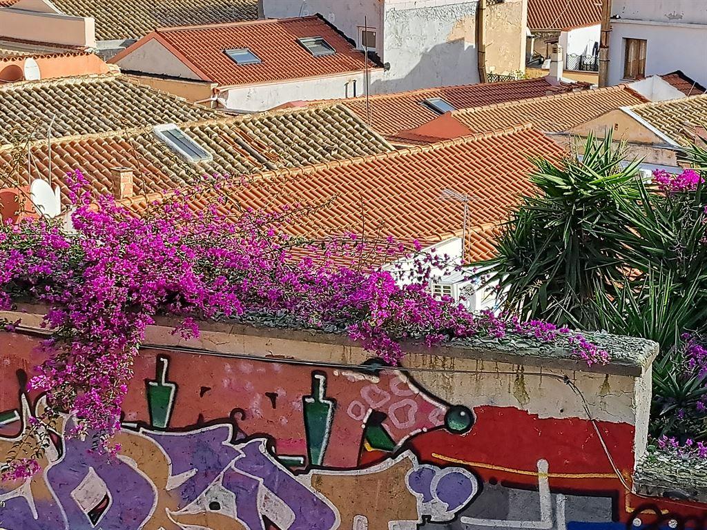 cagliariroofs