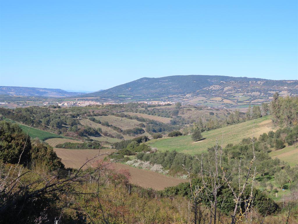 countryside