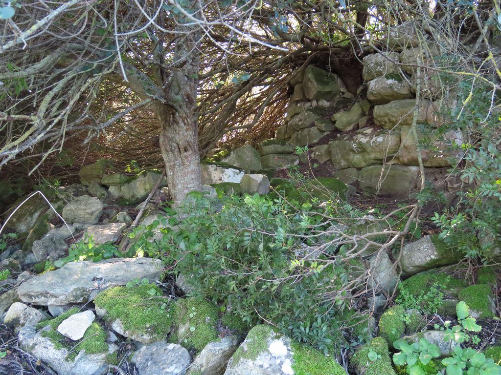 ruin