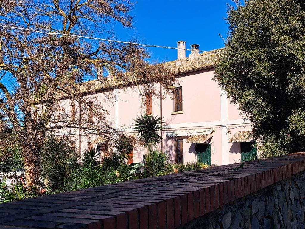 pinkhouses