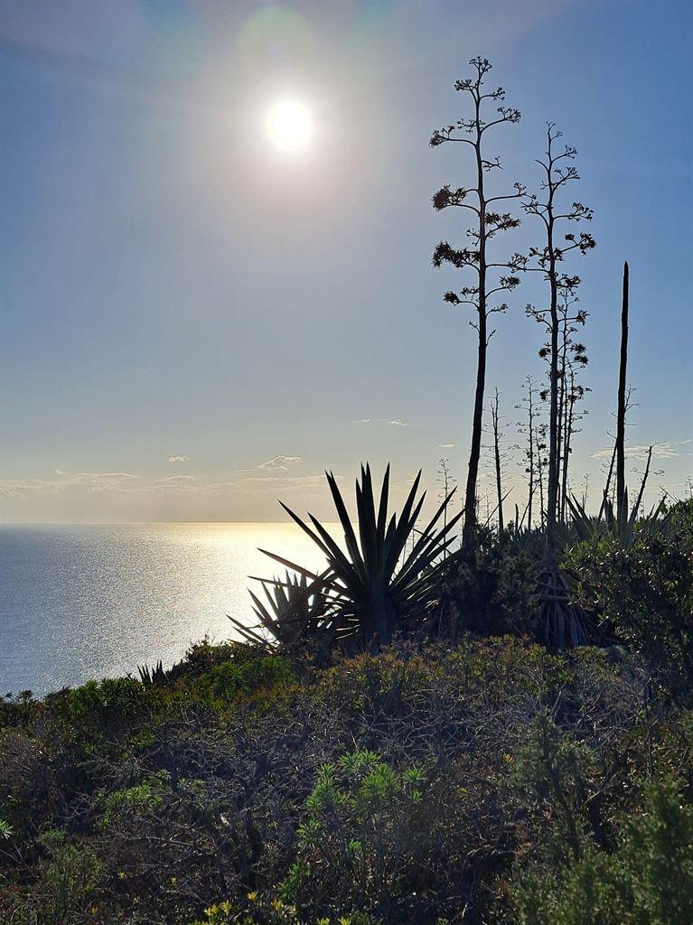 sun