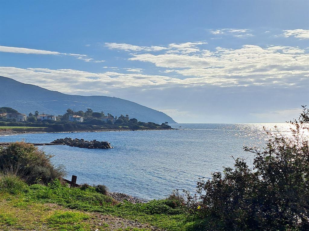 bay