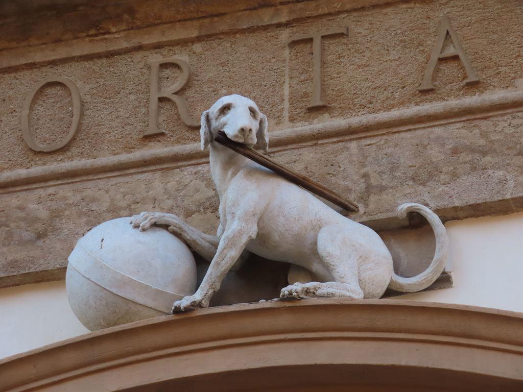 dog