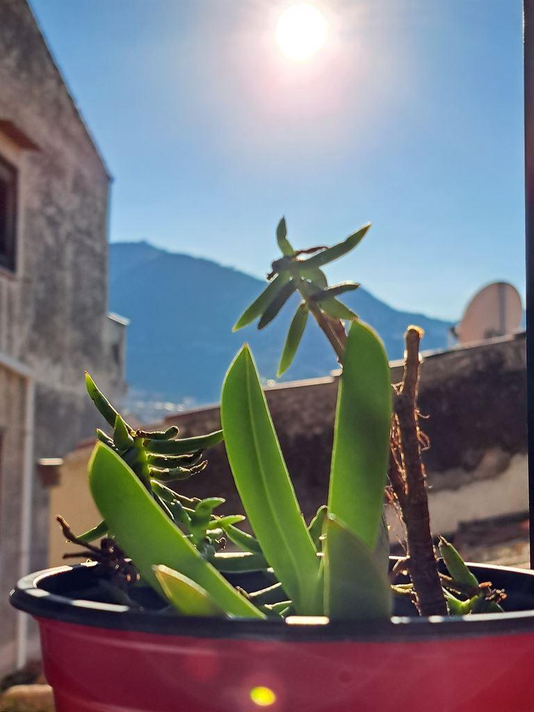 sun