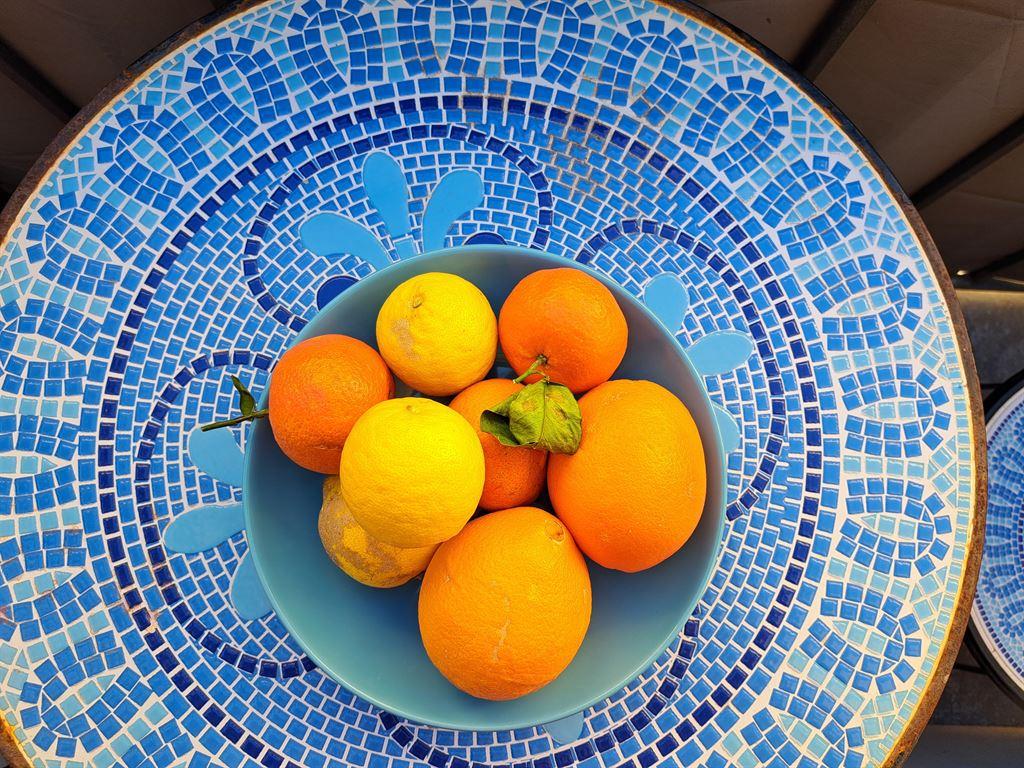 oranges