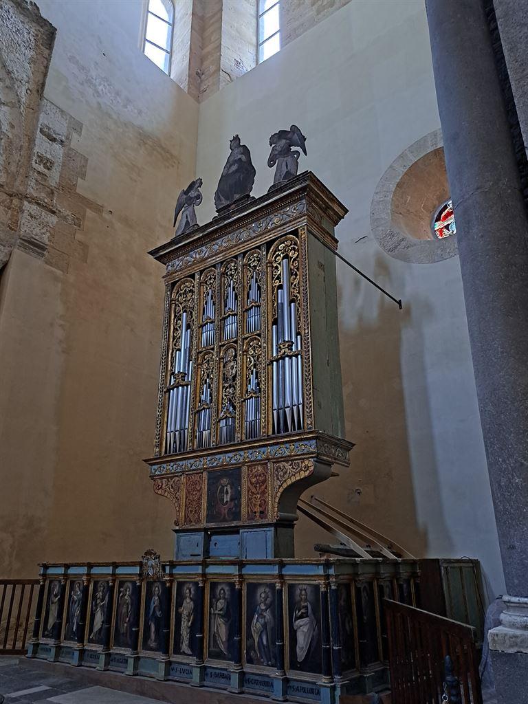 organ
