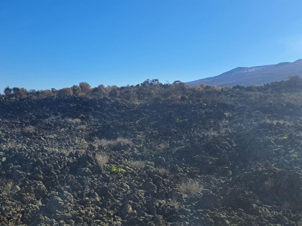 lava2