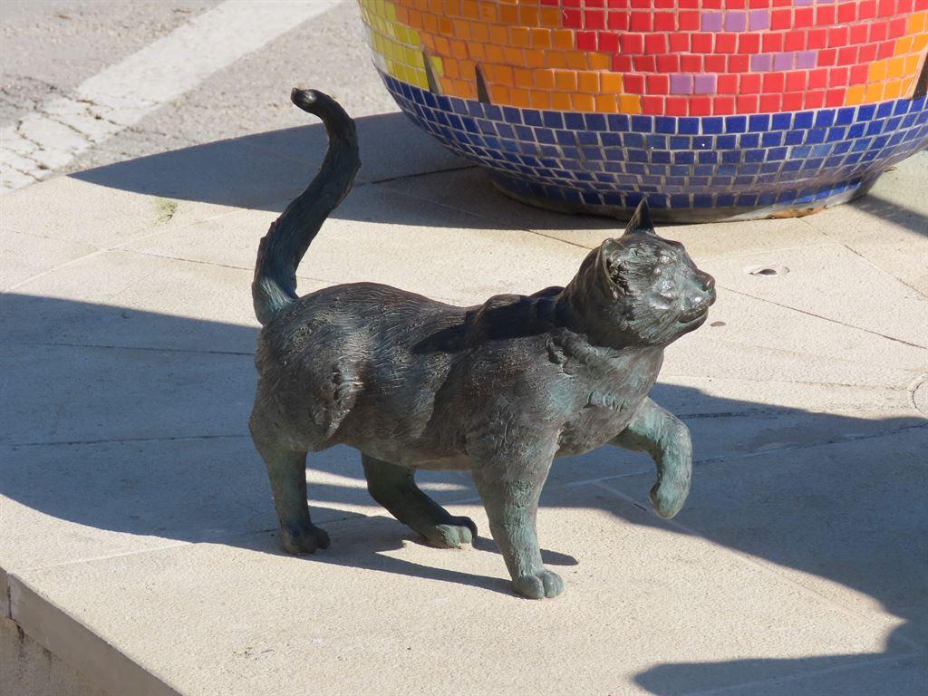 cat