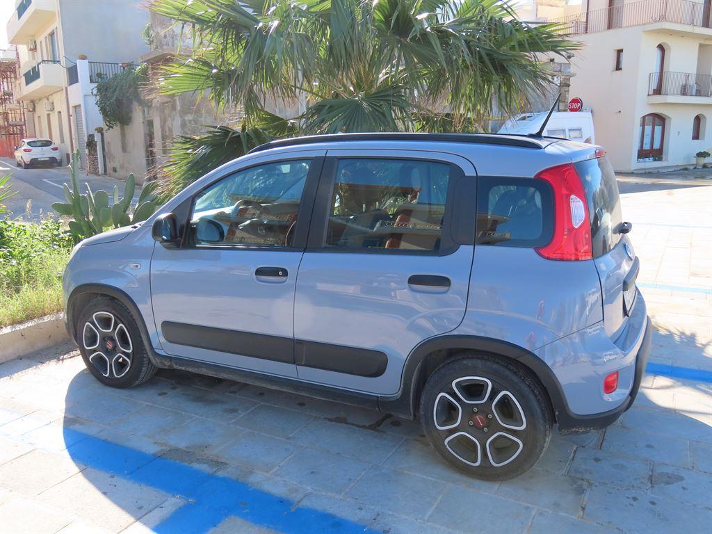 panda