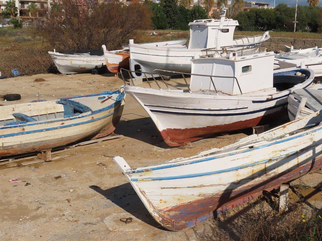 boats
