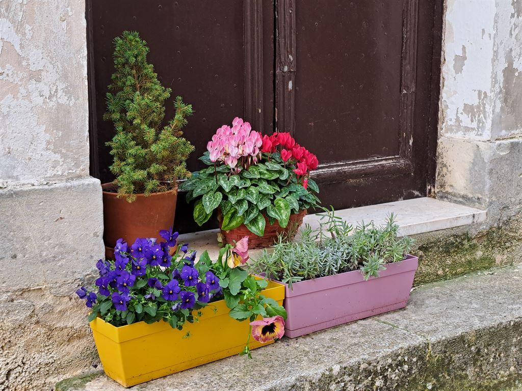 ragusa