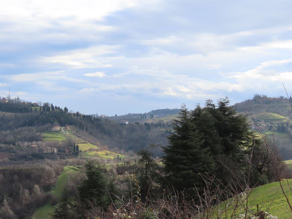 view1
