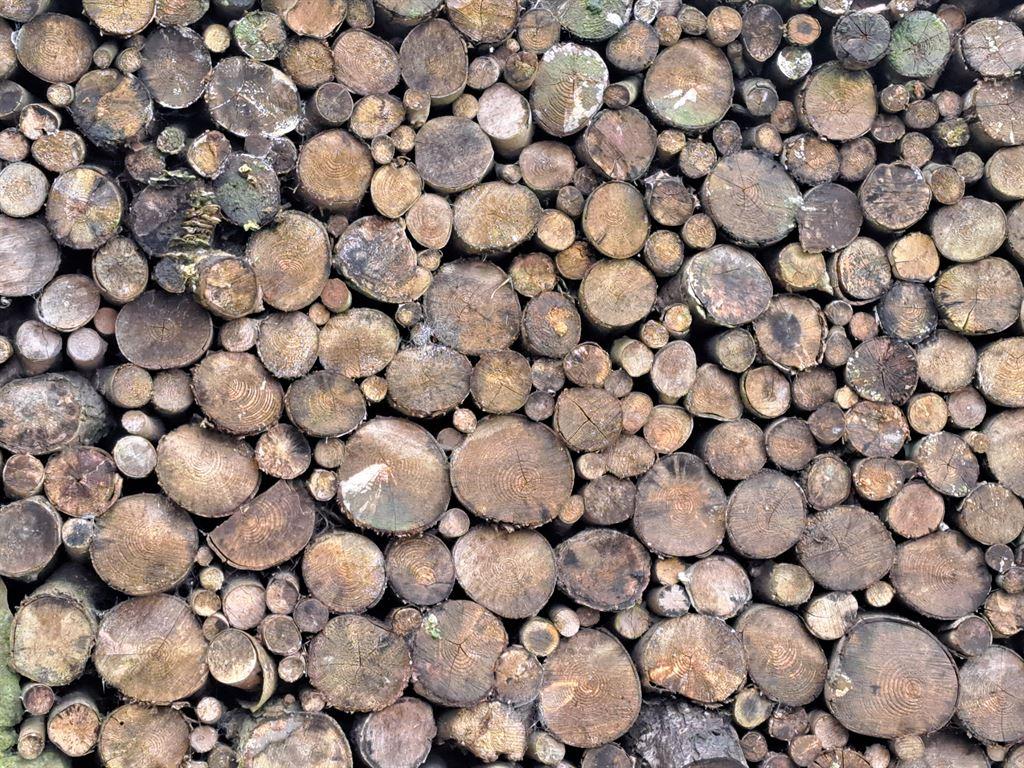 woodpile