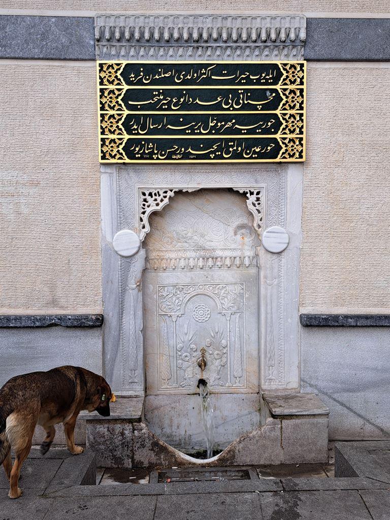 fountain