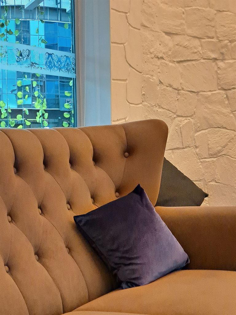 cushion