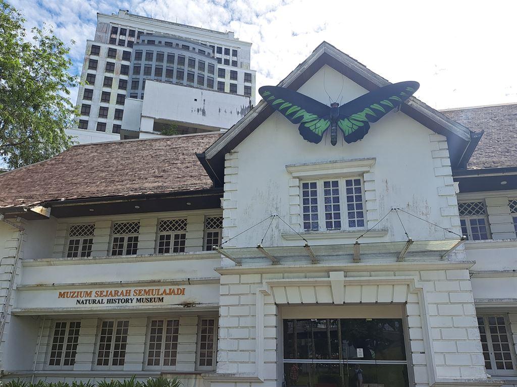 museum